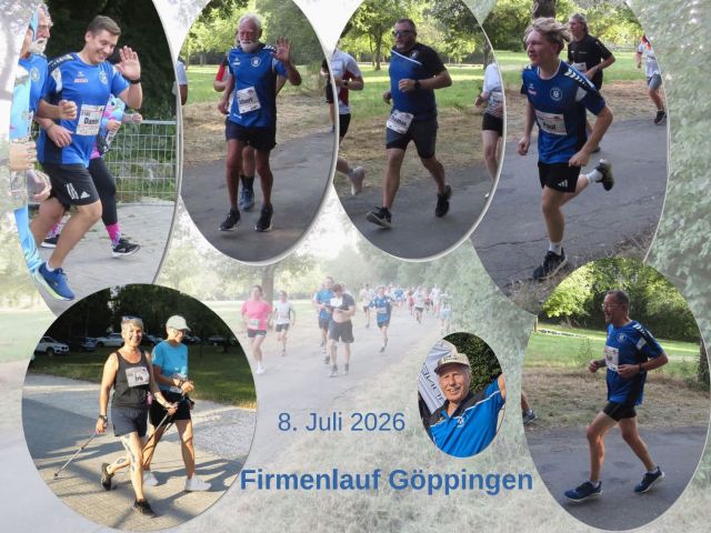Collage TVF-Team